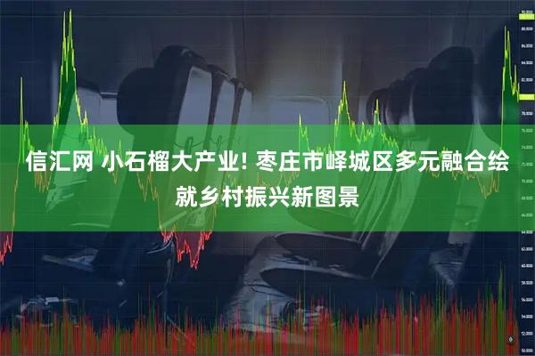 信汇网 小石榴大产业! 枣庄市峄城区多元融合绘就乡村振兴新图景