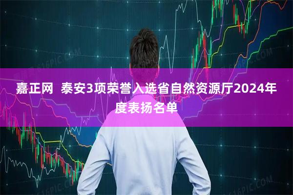 嘉正网  泰安3项荣誉入选省自然资源厅2024年度表扬名单
