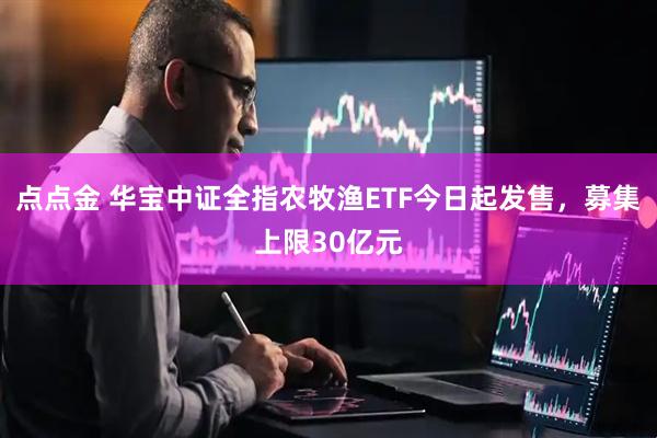 点点金 华宝中证全指农牧渔ETF今日起发售，募集上限30亿元