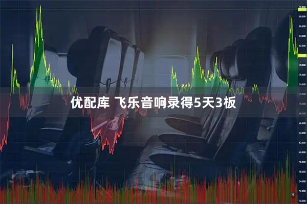 优配库 飞乐音响录得5天3板