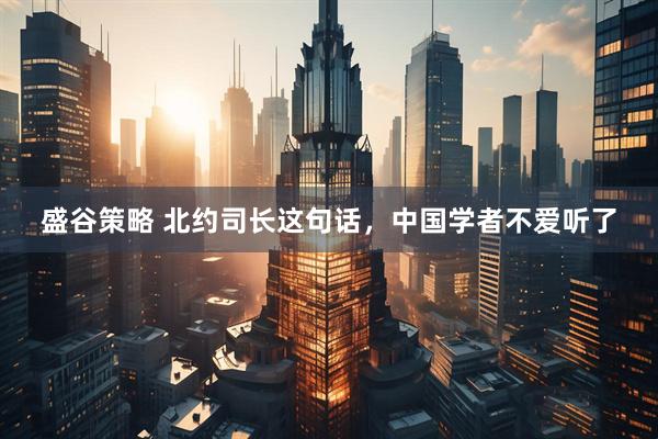 盛谷策略 北约司长这句话，中国学者不爱听了
