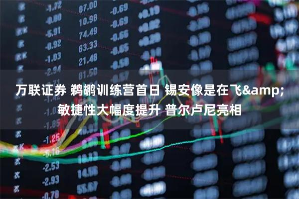 万联证券 鹈鹕训练营首日 锡安像是在飞&敏捷性大幅度提升 普尔卢尼亮相