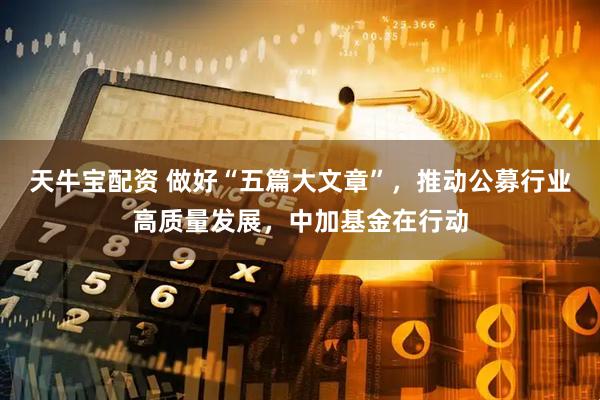 天牛宝配资 做好“五篇大文章”，推动公募行业高质量发展，中加基金在行动
